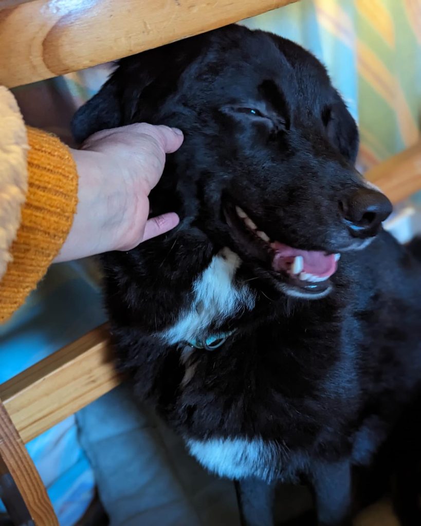 Ken enjoying some scratches