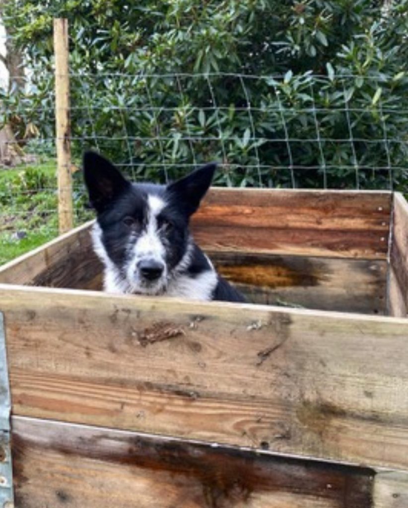 Mila in a wooden sleeper