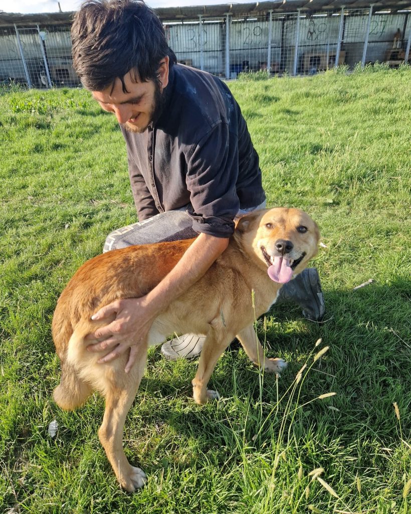 Red smiling whilst having a butt scratch