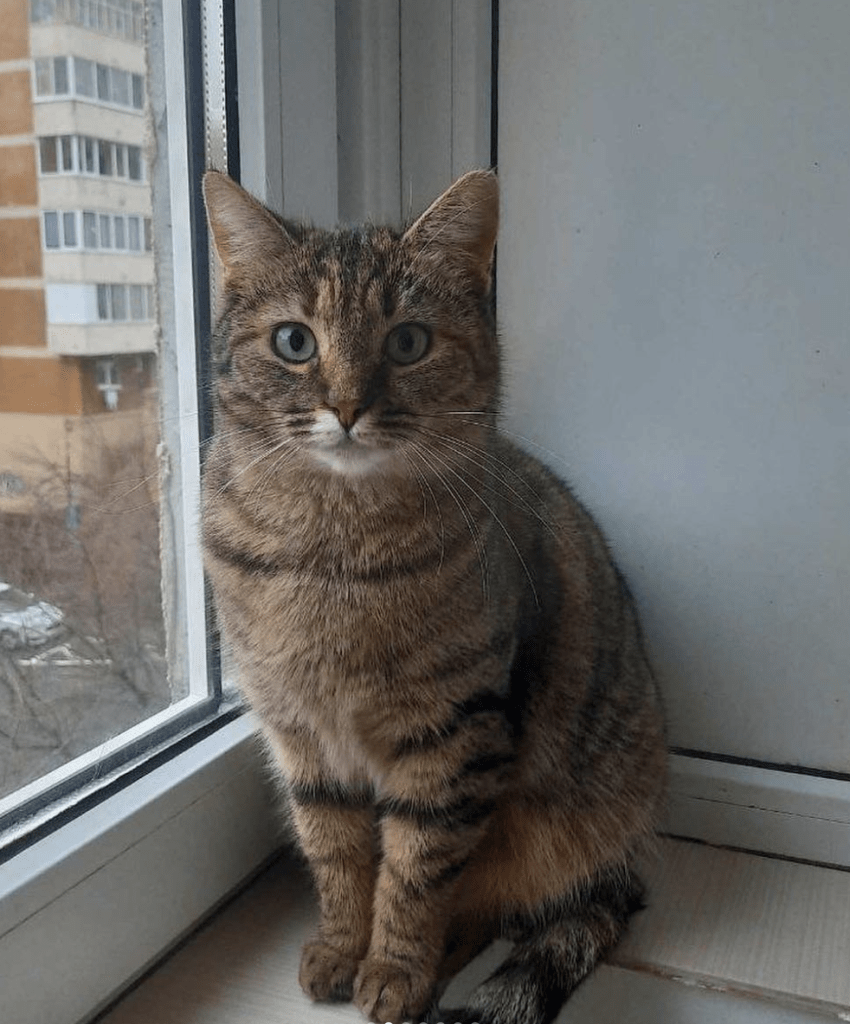 Saskia posing for her photograph in front of a window