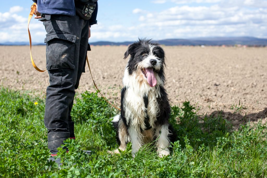 Tiesto sitting in the field