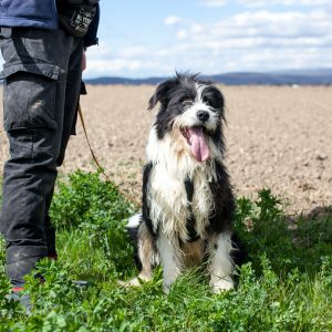 Tiesto sitting in the field