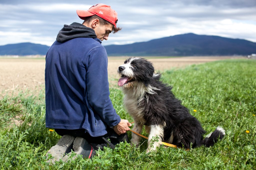 Tiesto getting attention in the field